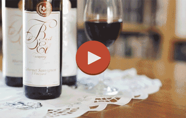 VIDEO: At Home with the Mannes from Beit El Winery