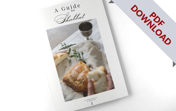 DOWNLOAD: A Guide for Shabbat